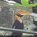 森林鳥花園