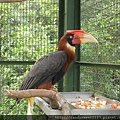 森林鳥花園