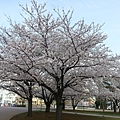 20140402_071137.jpg