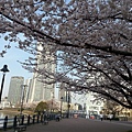 20140402_071238.jpg