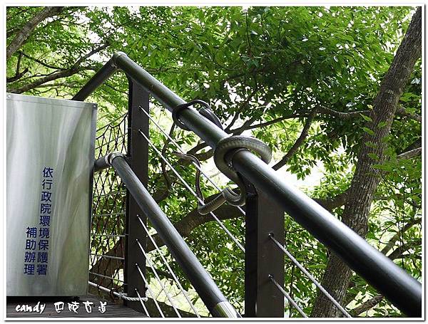 (游蛇科)過山刀