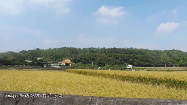 1 1