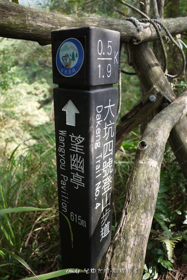 038-1.jpg 038-1.jpg