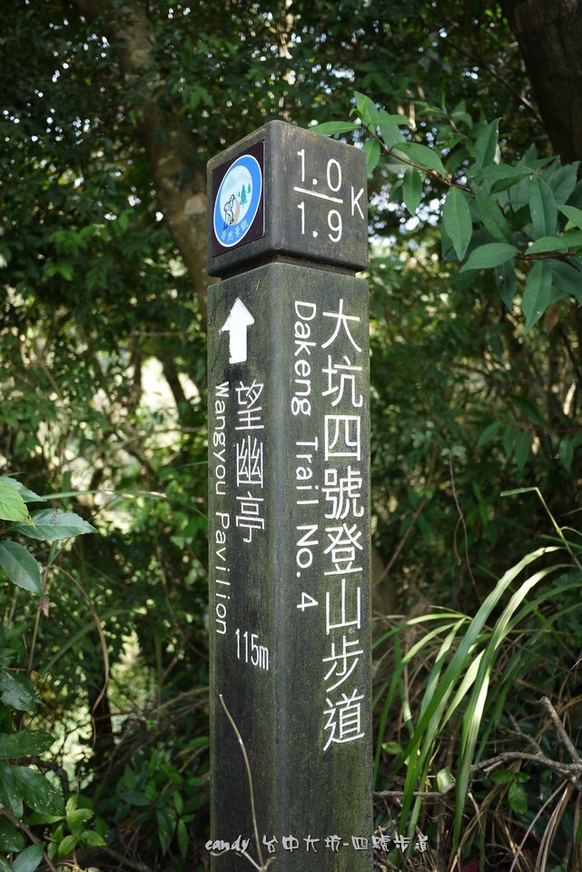 044-1.jpg 044-1.jpg