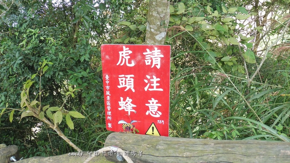 045-1.jpg 045-1.jpg