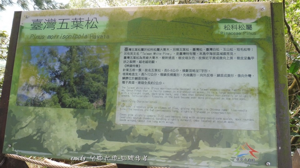 083-1.jpg 083-1.jpg