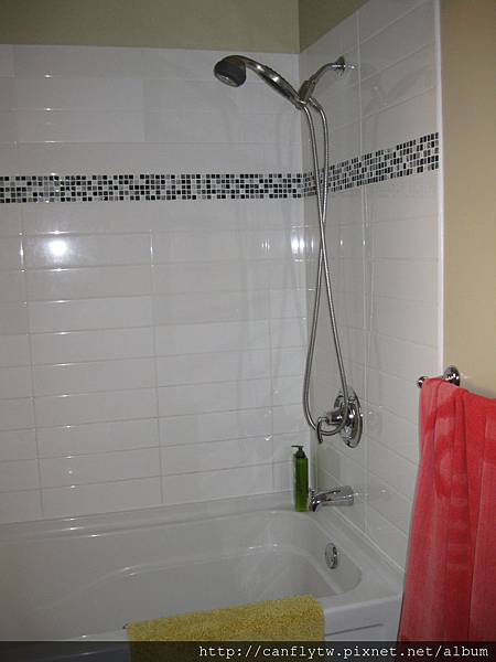 Shared tub and shower 2.JPG