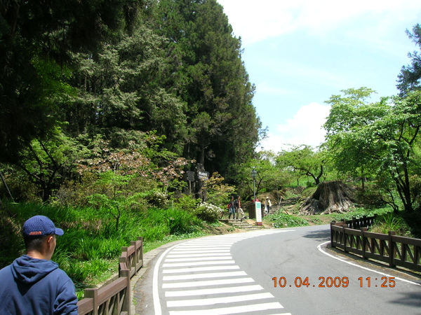 阿里山步道