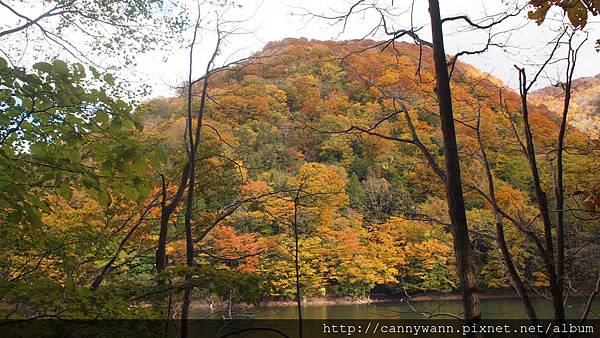 白神山地十二湖散策 (11)