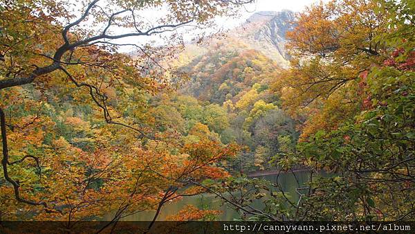 白神山地十二湖散策 (14)