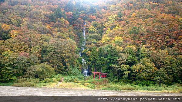 最上川遊船 (14)