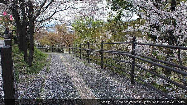 菊池公園 (2)