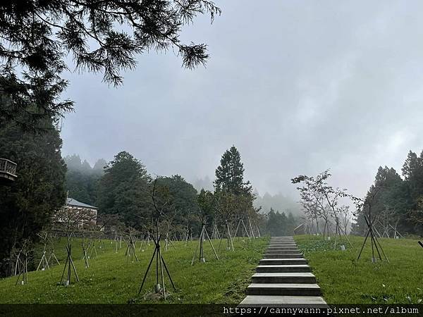 阿里山之旅