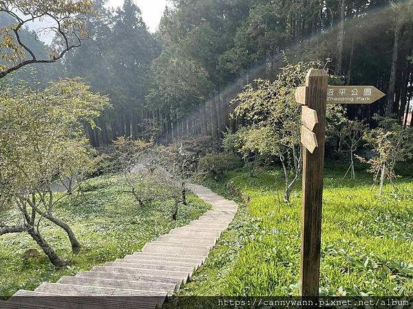 阿里山之旅