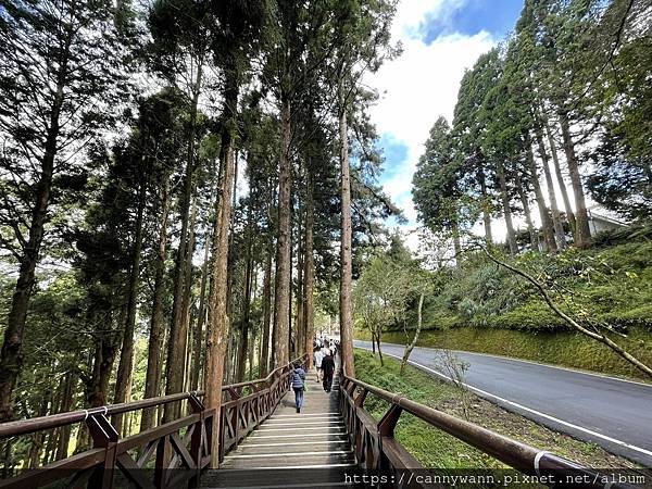 阿里山之旅