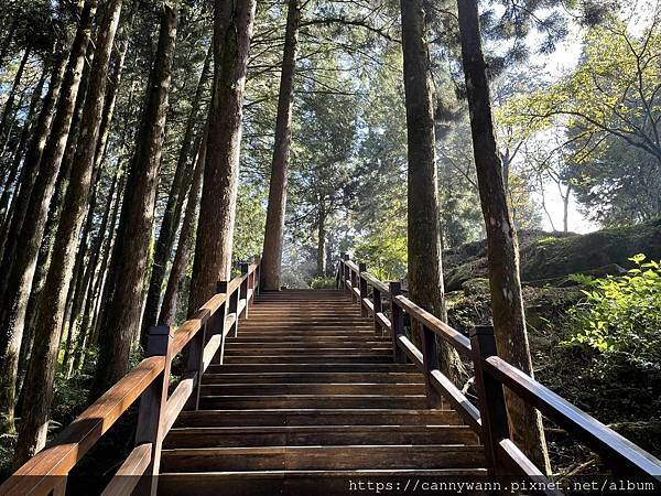 阿里山之旅