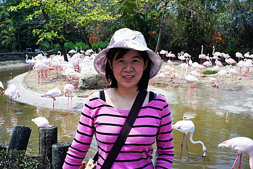 DSC03352.JPG