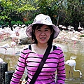 DSC03352.JPG