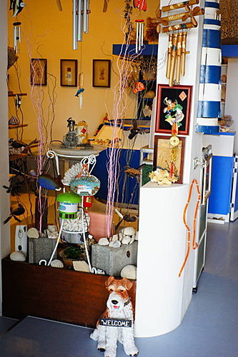 DSC03663.JPG