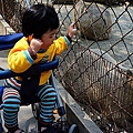 DSC03366.JPG