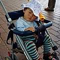 DSC03410.JPG
