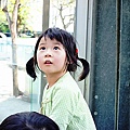 DSC03373.JPG