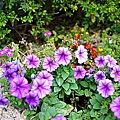 DSC03655.JPG