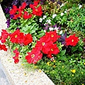 DSC03654.JPG