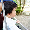 DSC03371.JPG