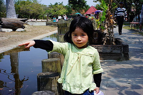 DSC03357.JPG