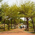DSC03439.JPG