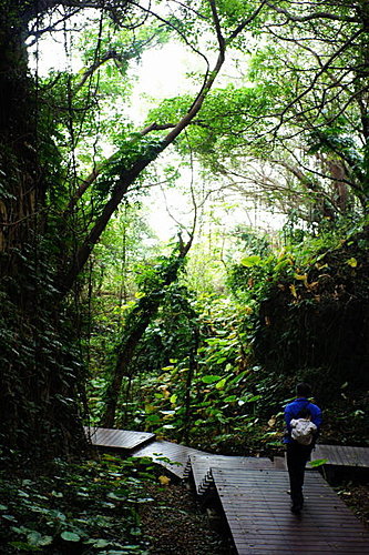 小琉球-山豬溝