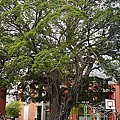 DSC03481.JPG