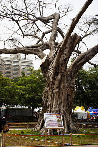 DSC03490.JPG