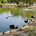 DSC03441.JPG