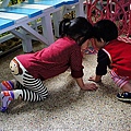 DSC03557.JPG