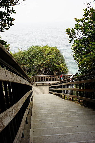 DSC03603.JPG