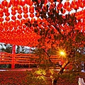 DSC02536.JPG