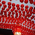 DSC02535.JPG