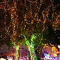 DSC02548.JPG