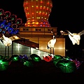 DSC02601.JPG