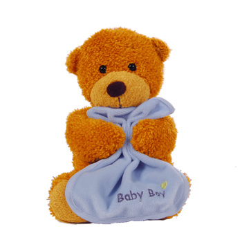 2544-baby_boy_bear.jpg