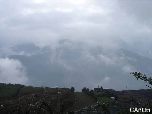 DSC05502a.jpg DSC05502a.jpg
