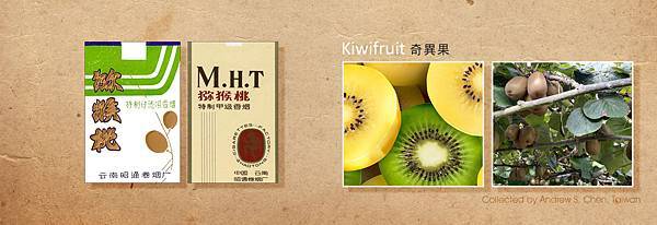 Kiwifruit 奇異果