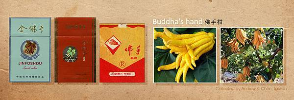 佛手柑 Buddha's hand