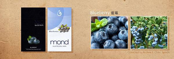 Blueberry 藍莓