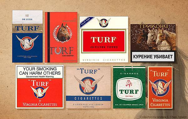 動物園-馬, Zoo-Horse 8