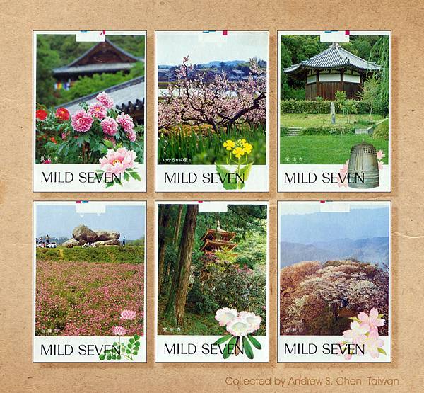 Mild Seven,1982年觀光記念限量版菸盒-6