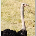 Living Desert Zoo