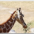 Living Desert Zoo